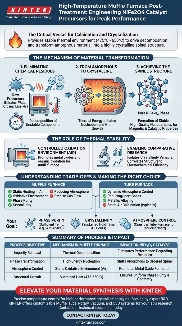 ما هو الغرض من استخدام فرن الصهر عالي الحرارة لسلائف محفز NiFe2O4؟ تكوين سبينل نقي دليل مرئي