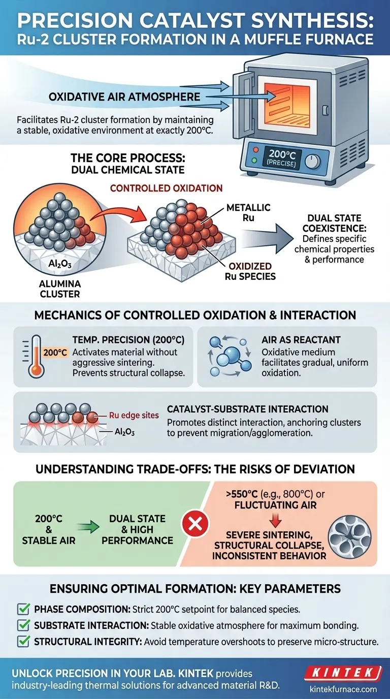 马弗炉如何促进钌-2簇状催化剂的形成？精确控制钌的煅烧 图解指南