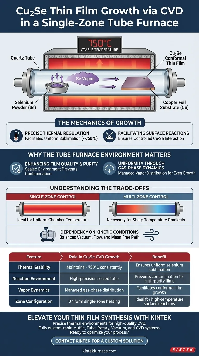单区管式炉如何通过化学气相沉积（CVD）促进Cu2Se薄膜的生长？精密热控指南 图解指南