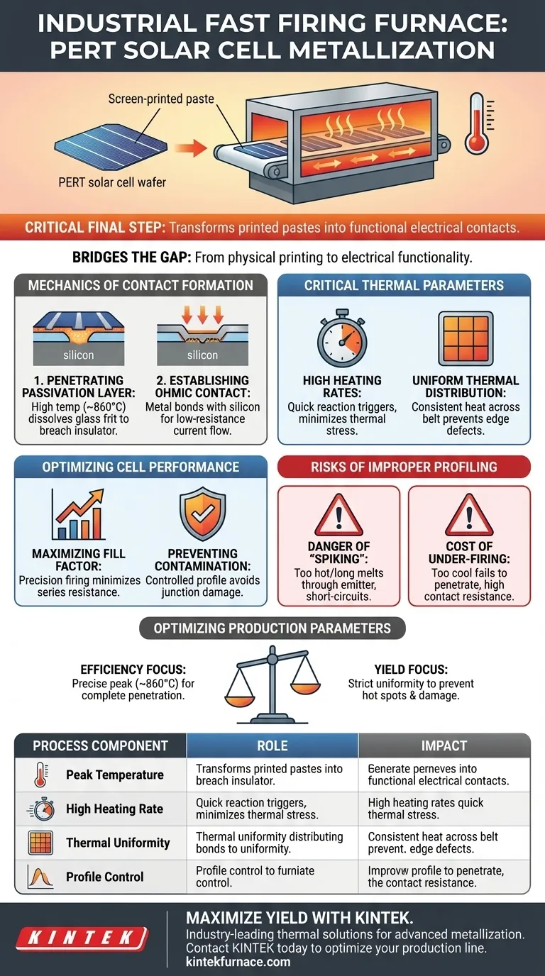 ما هو الدور الذي تلعبه أفران الحرق السريع الصناعية في تعدين خلايا الطاقة الشمسية PERT؟ تعزيز كفاءة الخلية دليل مرئي