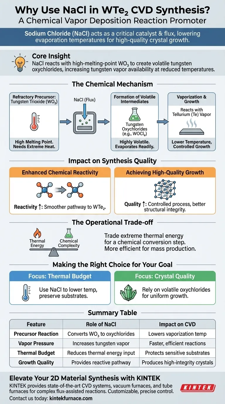 ¿Por qué se utiliza NaCl en la síntesis CVD de WTe2? Mejora el crecimiento de cristales con fundente asistido por sal Guía Visual