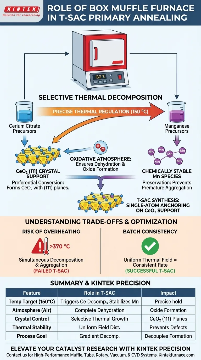 ¿Qué papel juega un horno mufla de caja en el recocido primario de T-SAC? Logrando una descomposición de gradiente precisa Guía Visual