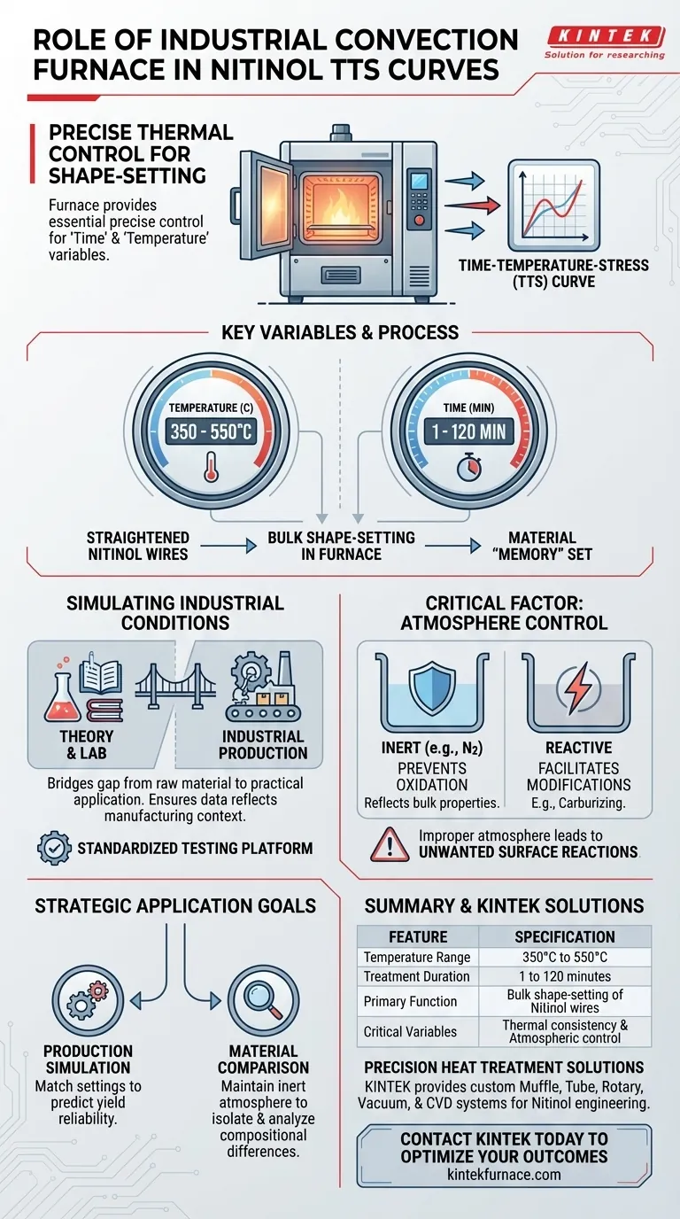 Qual é o papel de um forno industrial de convecção a ar na construção de curvas TTS de Nitinol? Obtenha um tratamento térmico preciso Guia Visual