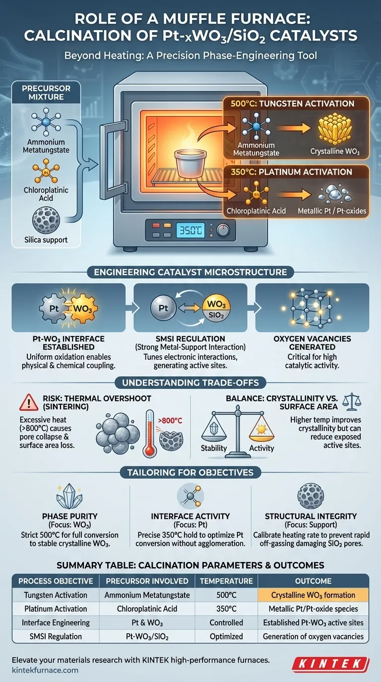 在 Pt-xWO3/SiO2 的煅烧过程中，马弗炉的主要作用是什么？优化催化剂相工程 图解指南