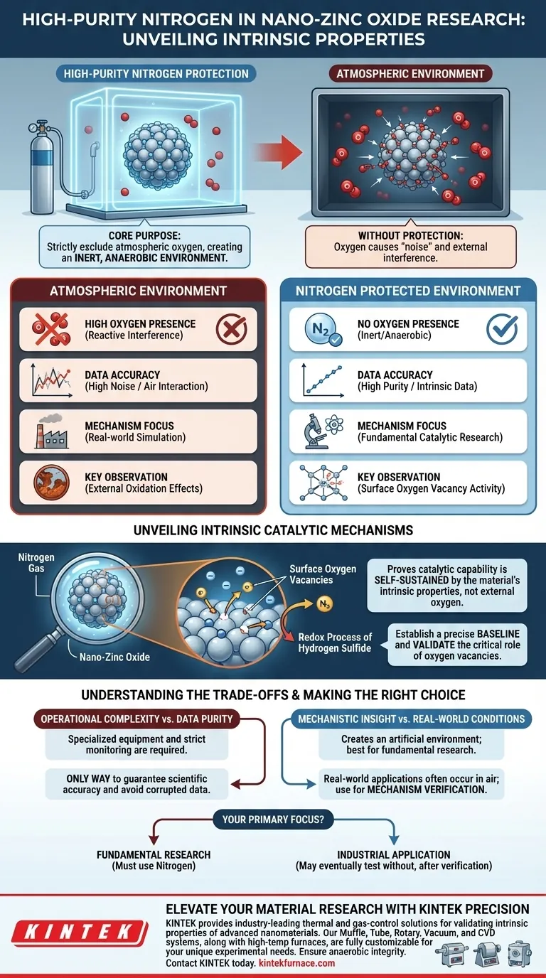使用高纯度氮气进行纳米氧化锌实验的目的是什么？确保数据纯度和准确性 图解指南
