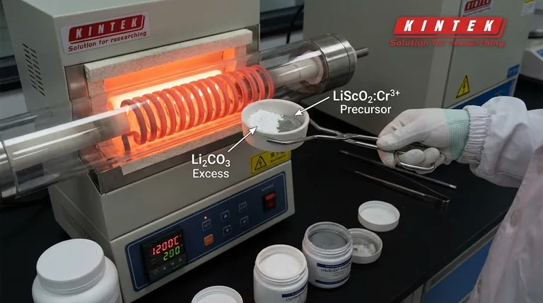 لماذا تتم إضافة كربونات الليثيوم الزائدة لـ LiScO2:Cr3+؟ قم بتحسين تخليق الفوسفور عالي الحرارة لديك