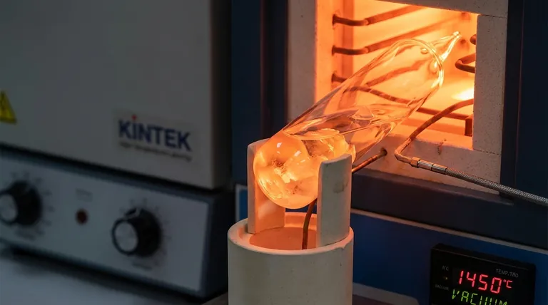 ما هو الدور الذي تلعبه الأمبولات الزجاجية عالية النقاء المفرغة من الهواء في تجارب توازن الأطوار؟ تعزيز سلامة العينة