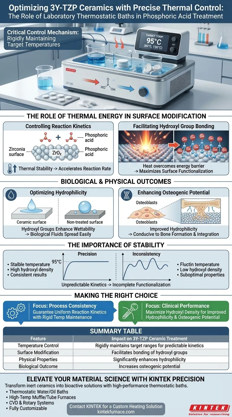 Comment les bains thermostatiques de laboratoire contribuent-ils au traitement à l'acide phosphorique des céramiques 3Y-TZP ? Stimuler la bioactivité Guide Visuel