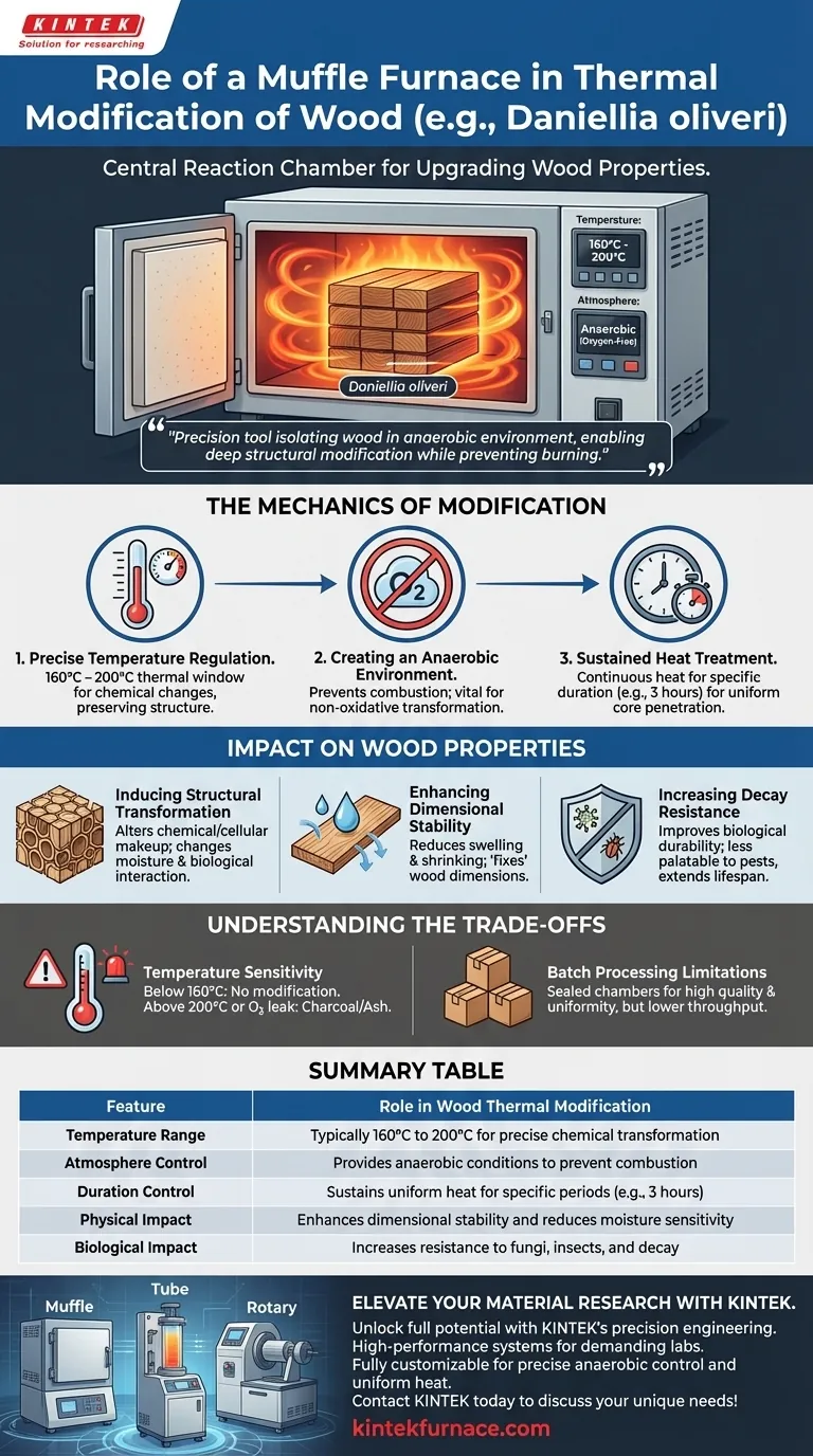 Qual é o papel de um Forno Mufla na modificação térmica da madeira? Otimizar a Durabilidade de Daniellia oliveri Guia Visual
