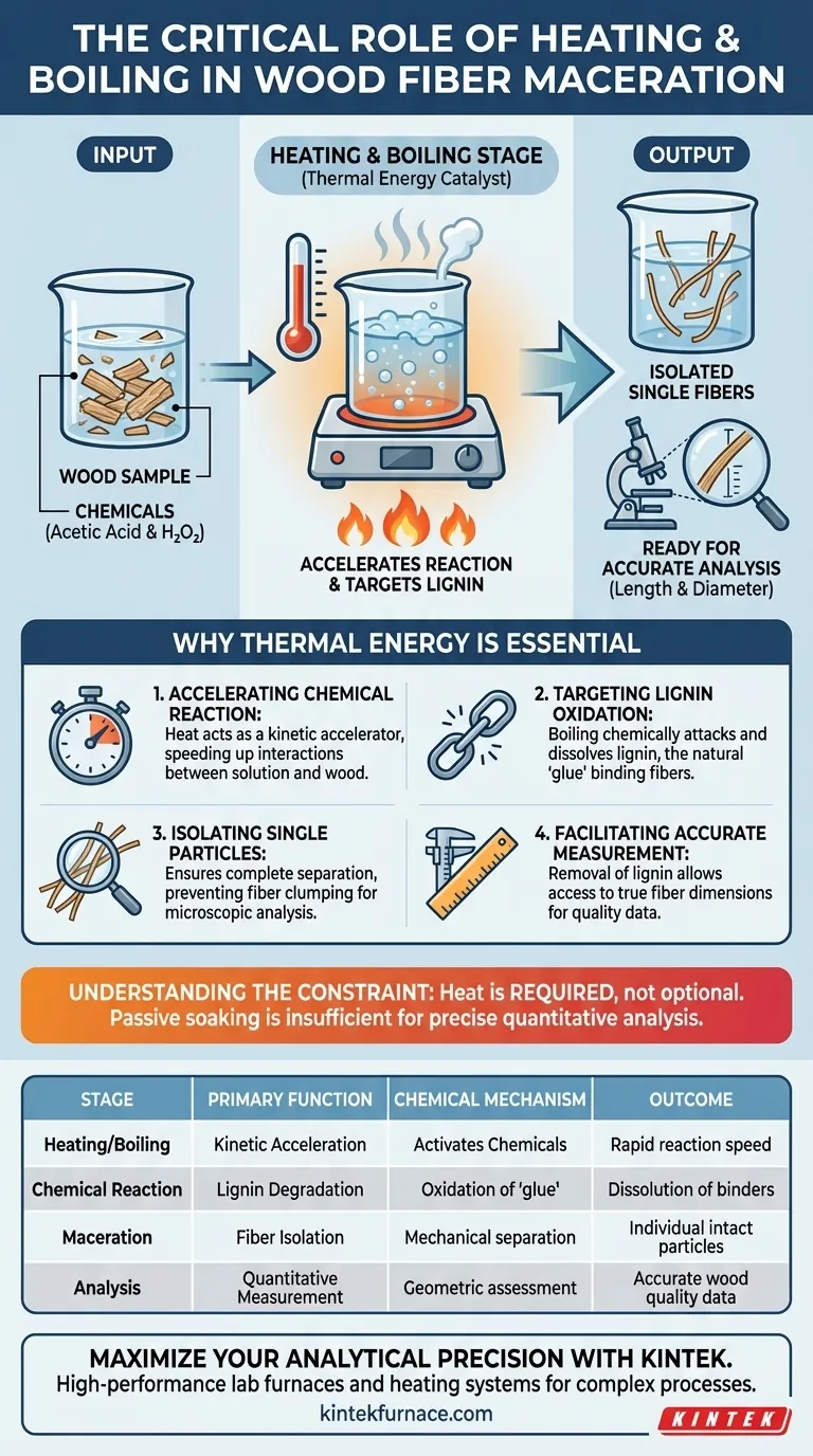 목재 섬유의 분해 과정에서 실험실 가열 및 끓임 단계가 필수적인 이유는 무엇인가요? 시각적 가이드