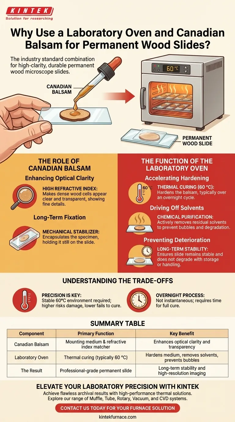 Warum werden ein Laborofen und Kanadabalsam zusammen für Holzobjektträger verwendet? Beherrschen Sie permanente Mikroskopietechniken Visuelle Anleitung