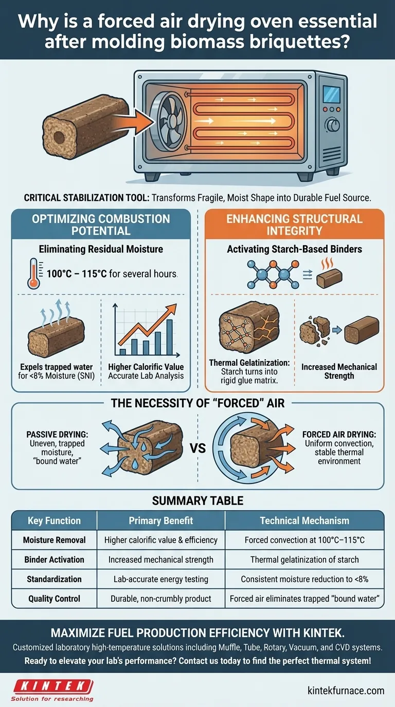 为什么在压制生物质压块后，强制通风干燥炉是必不可少的？提高燃料质量和强度 图解指南