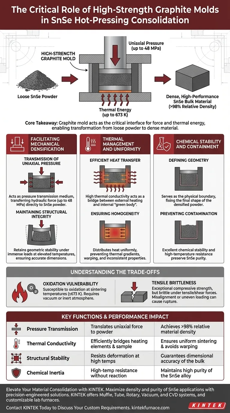 Quale ruolo svolgono gli stampi in grafite ad alta resistenza durante il consolidamento di SnSe? Essenziale per la densificazione ad alte prestazioni Guida Visiva
