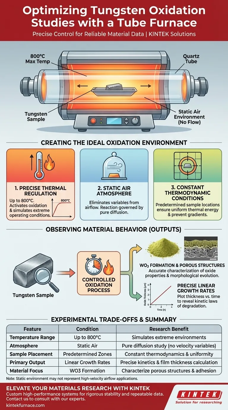 管式炉为研究钨的氧化提供了哪些具体的实验条件？800°C 静态空气 图解指南
