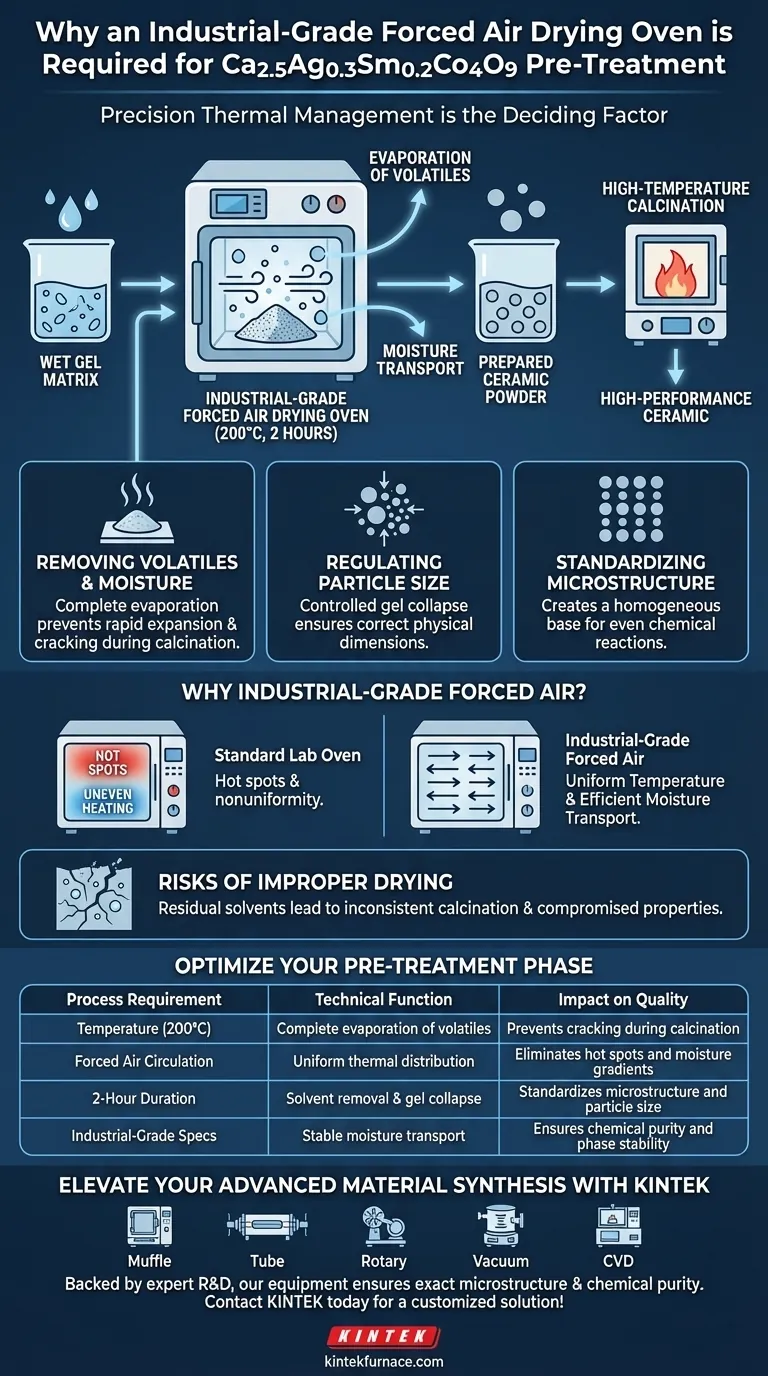 Warum wird ein industrieller Umlufttrockenschrank für Ca2.5Ag0.3Sm0.2Co4O9-Keramik benötigt? Präzise Vorbehandlung Visuelle Anleitung