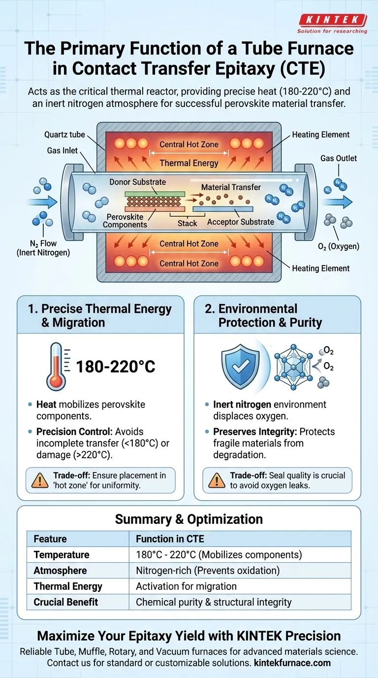 コンタクト転写法エピタキシーにおけるチューブ炉の主な機能は何ですか？ペロブスカイト成長の精密化 ビジュアルガイド