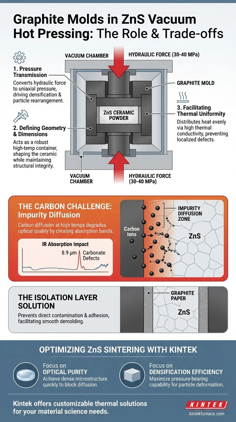 石墨模具在硫化锌真空热压中扮演什么角色？优化致密化和光学纯度 图解指南