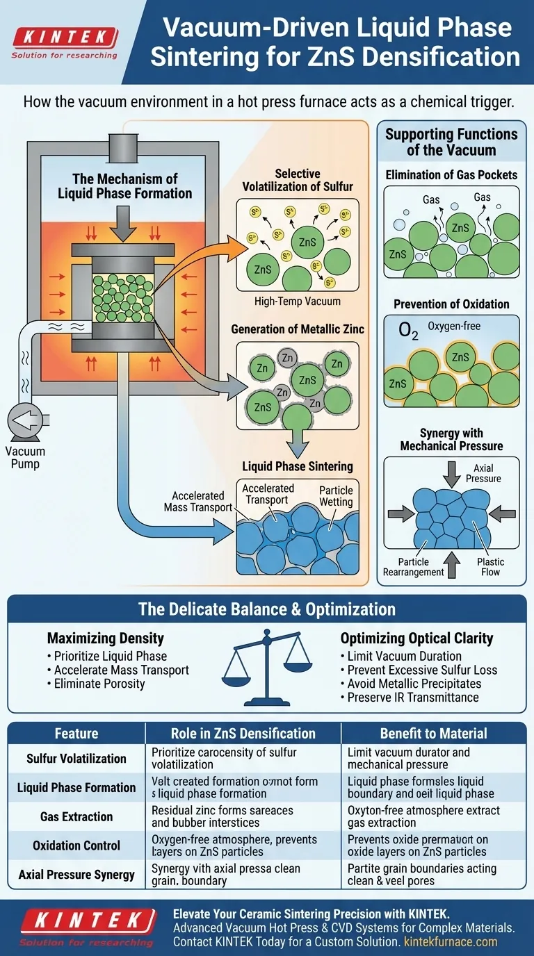 真空环境如何促进硫化锌陶瓷的致密化？解锁高性能液相烧结 图解指南