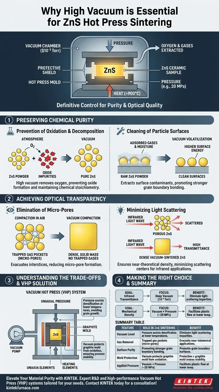 为什么高真空对于硫化锌热压烧结至关重要？实现最大的红外透过率 图解指南