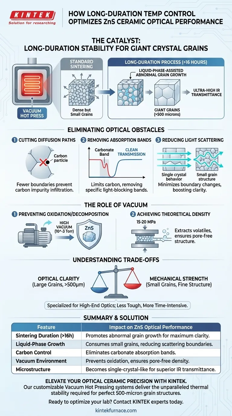 真空热压炉的长时程温度控制能力如何改善硫化锌陶瓷？ 图解指南