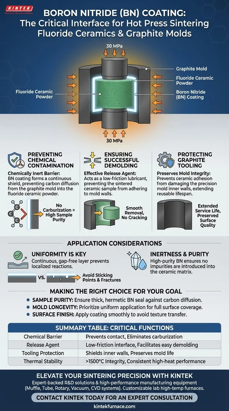 在热压烧结中，氮化硼（BN）涂层有什么作用？立即保护您的氟化物陶瓷 图解指南