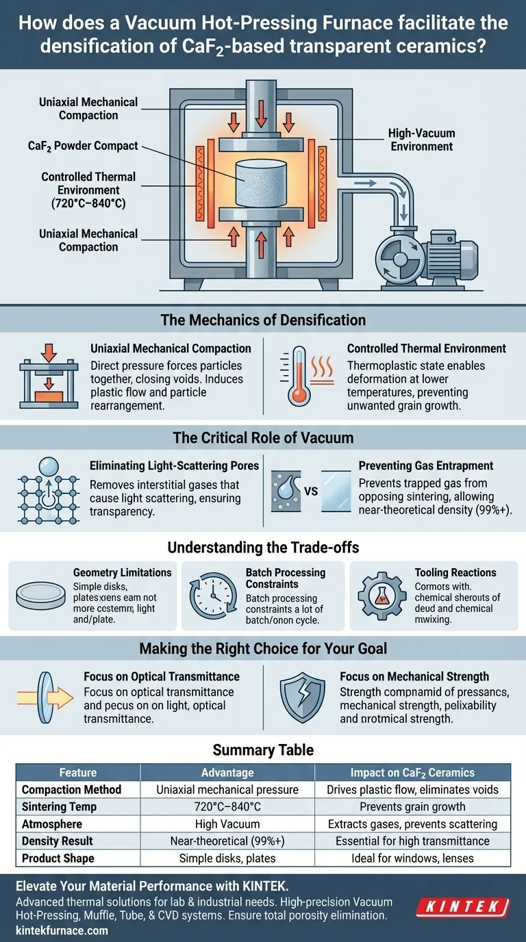 真空热压炉如何促进 CaF2 的致密化？实现高光学透明度 图解指南