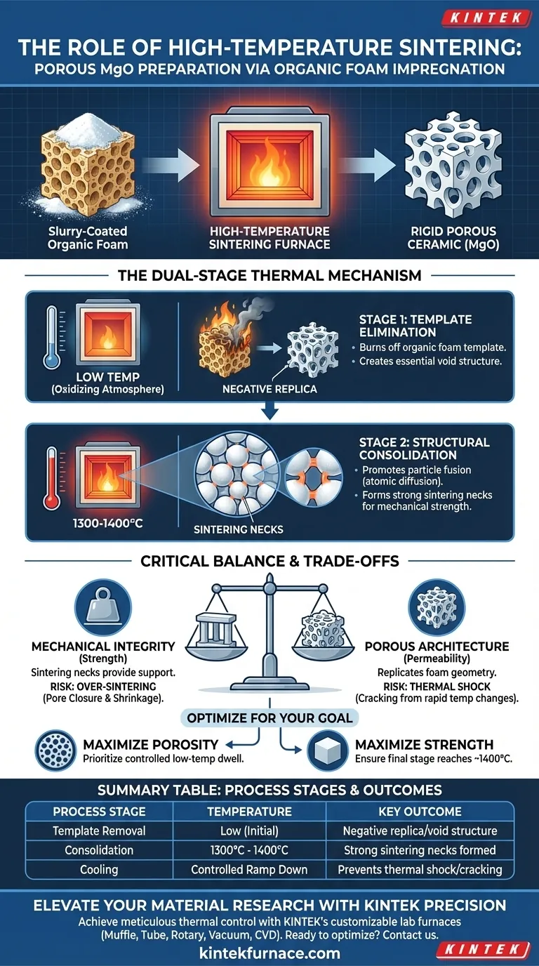 Welche Funktionen erfüllt ein Hochtemperatursinterofen bei der Herstellung von porösem Magnesiumoxid? Visuelle Anleitung