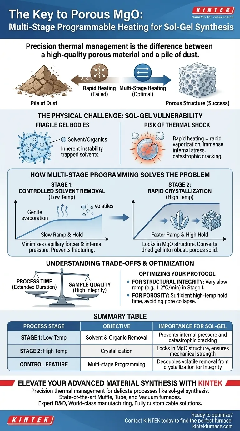 ¿Por qué es necesario un horno mufla con control de calentamiento programable multietapa para la síntesis de óxido de magnesio sol-gel? Guía Visual