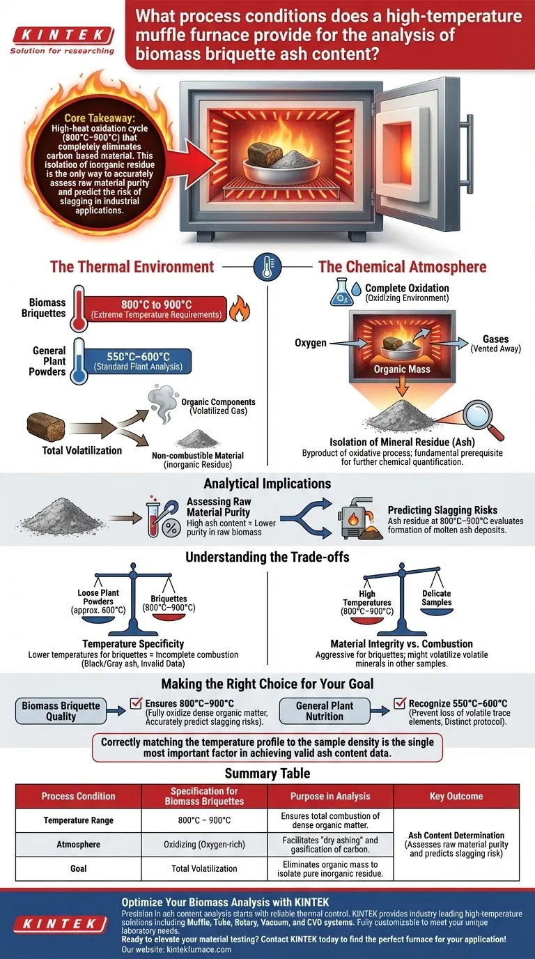 Quais condições de processo um forno mufla de alta temperatura fornece para a análise de cinzas de briquetes de biomassa? Guia Visual