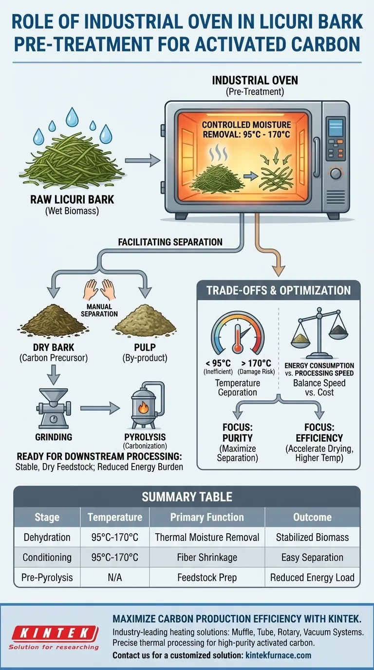 工业烤箱在巴西坚果壳预处理中起什么作用？优化活性炭生产 图解指南