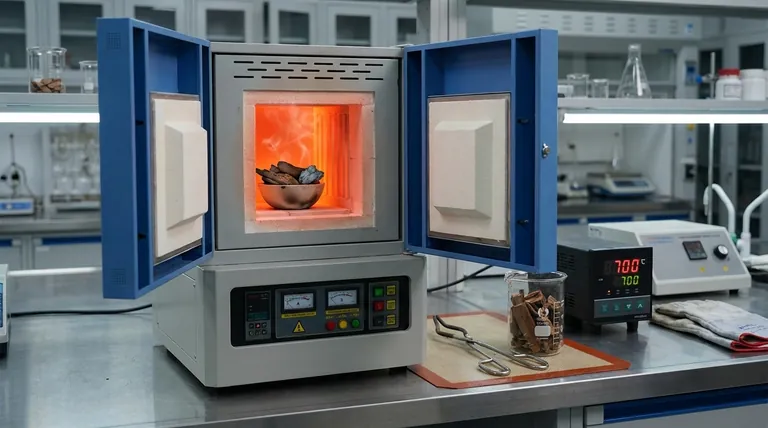 在巴西坚果壳热解过程中,马弗炉的核心功能是什么?工程孔隙率和碳收率