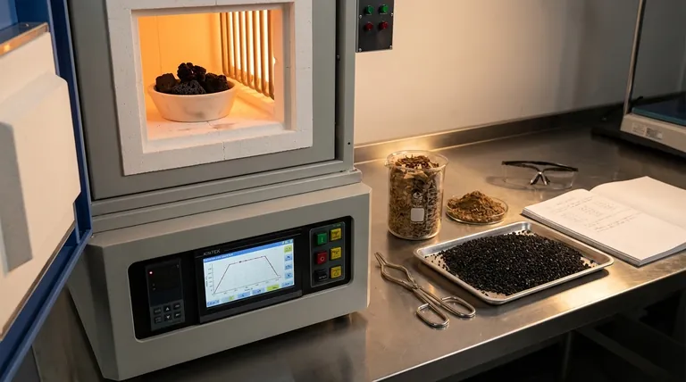 加热速率控制在马弗炉中如何影响活性炭?优化产量和孔隙结构