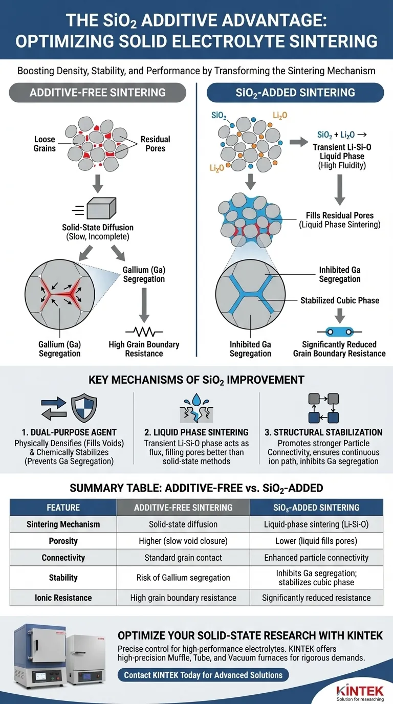 كيف يحسن إدخال ثاني أكسيد السيليكون (SiO2) كمادة مضافة عملية التلبيد للإلكتروليتات الصلبة؟ تعزيز الكثافة دليل مرئي