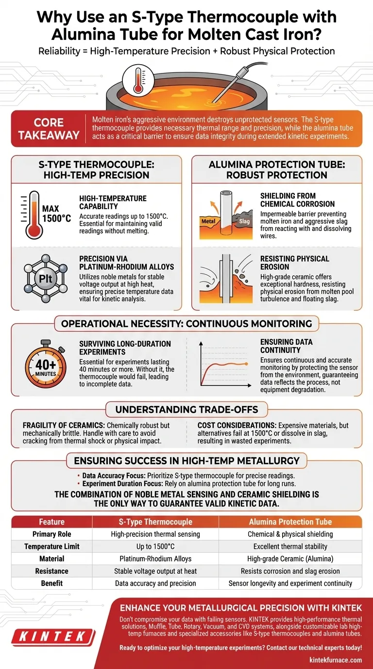 为什么需要使用S型热电偶配合氧化铝保护管？熔铁监测大师 图解指南