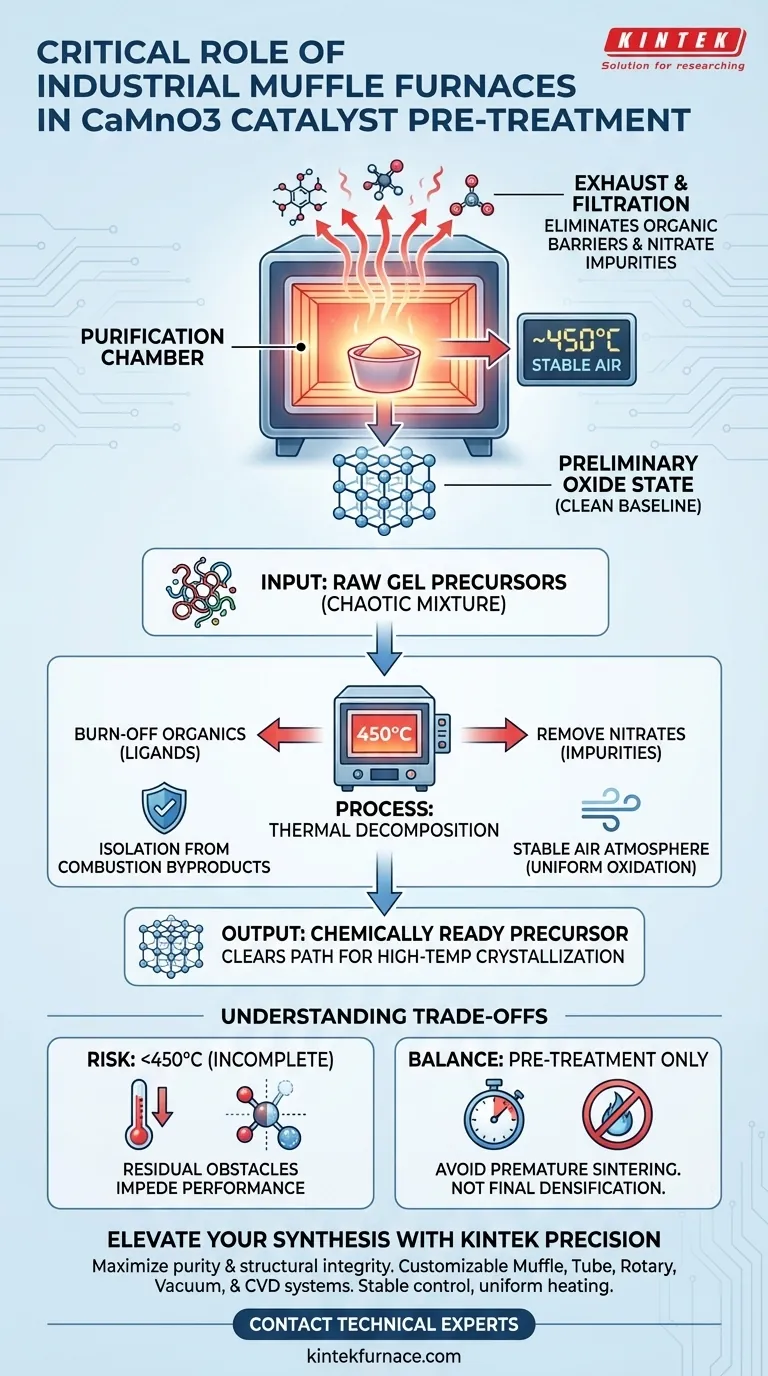 Какова роль муфельных печей в приготовлении катализатора CaMnO3? Мастерство точной термической предварительной обработки Визуальное руководство