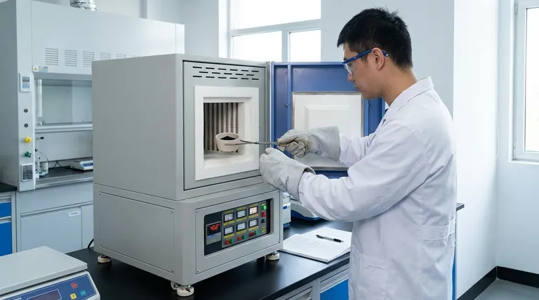 Какова роль муфельных печей в приготовлении катализатора CaMnO3? Мастерство точной термической предварительной обработки