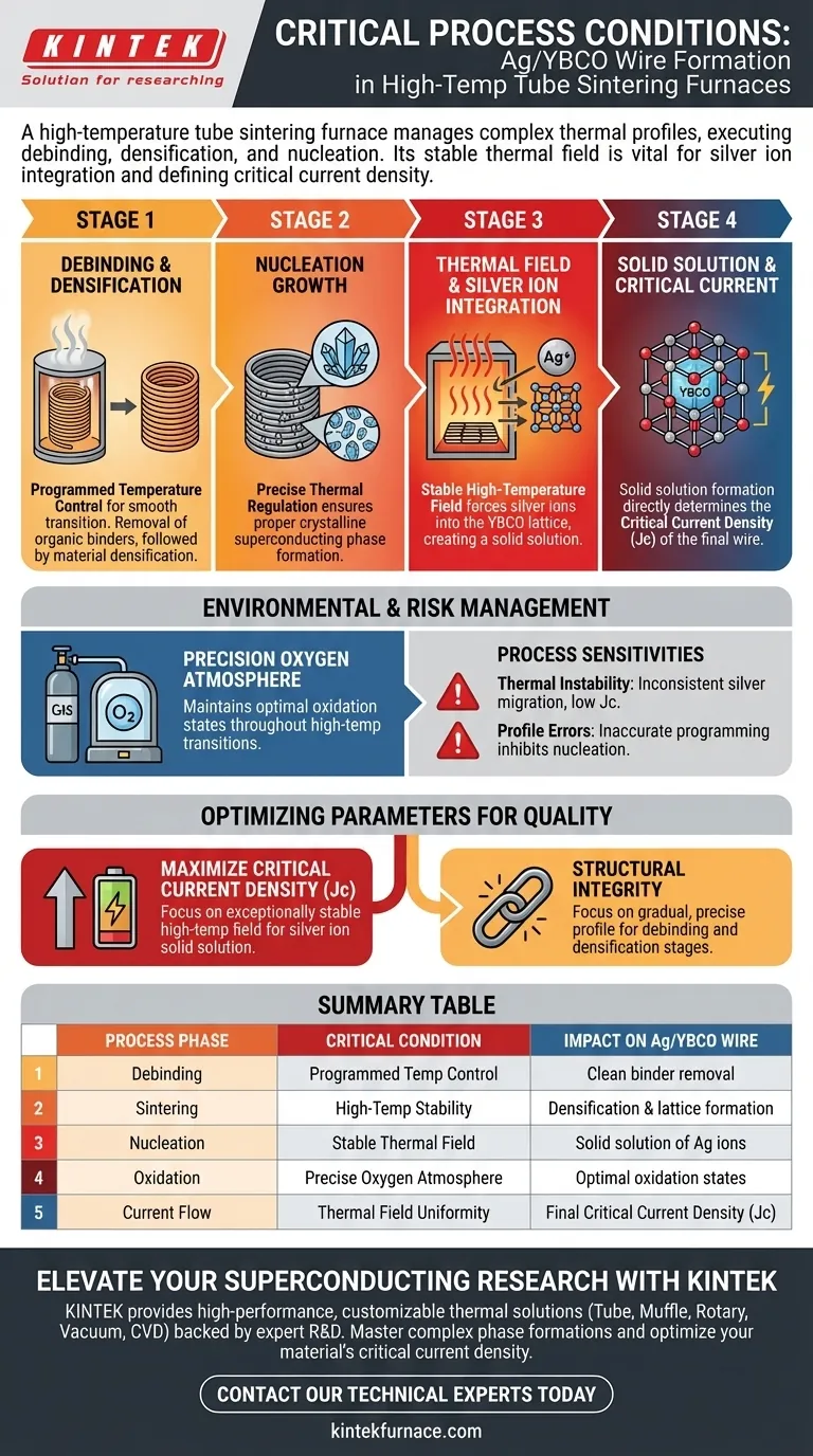 管式烧结炉为银/钇钡铜氧化物（Ag/YBCO）导线提供了哪些条件？确保高临界电流密度 图解指南