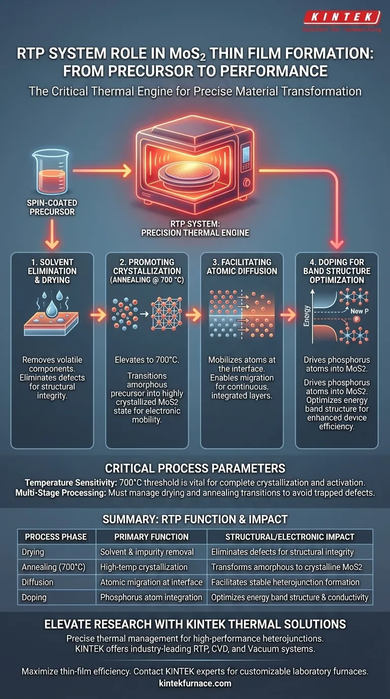 快速热处理（RTP）系统在 MoS2 薄膜中扮演什么角色？实现精确的原子层控制 图解指南