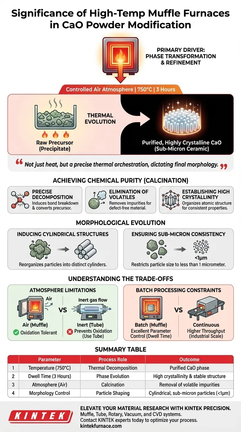 Qual é a importância de um forno mufla de alta temperatura na modificação de pó de CaO? Desbloqueie a Cristalinidade Precisa Guia Visual