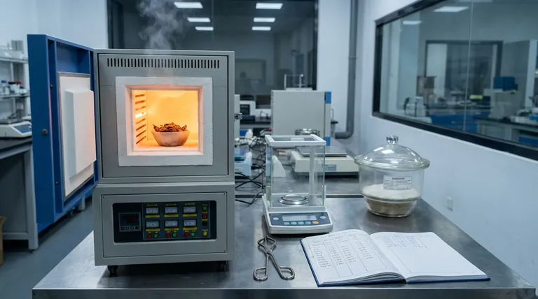 Muffle Furnace 在测定 Safou 果肉水分含量方面有何具体功能?必备指南