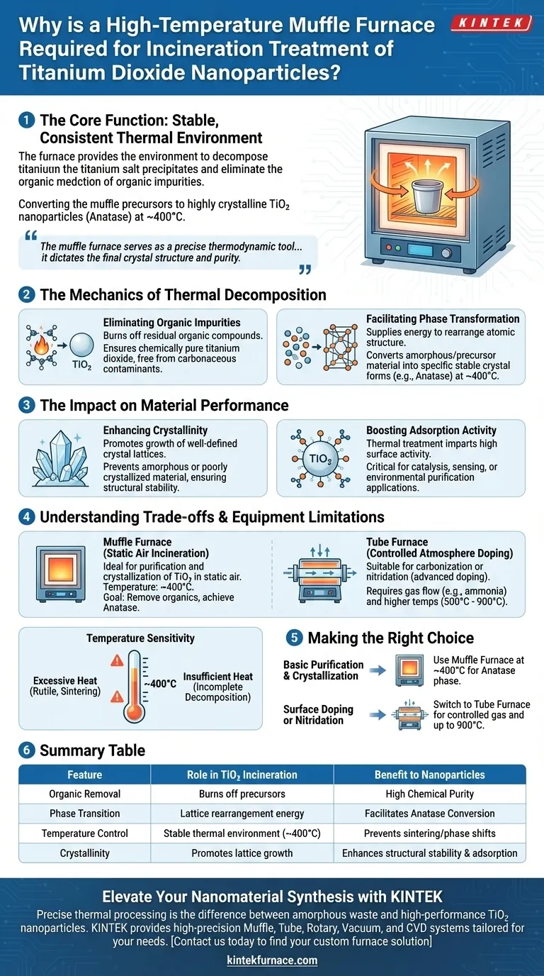 이산화티타늄 나노입자 소각 처리에 고온 머플로 퍼니스가 필요한 이유는 무엇인가요? 시각적 가이드