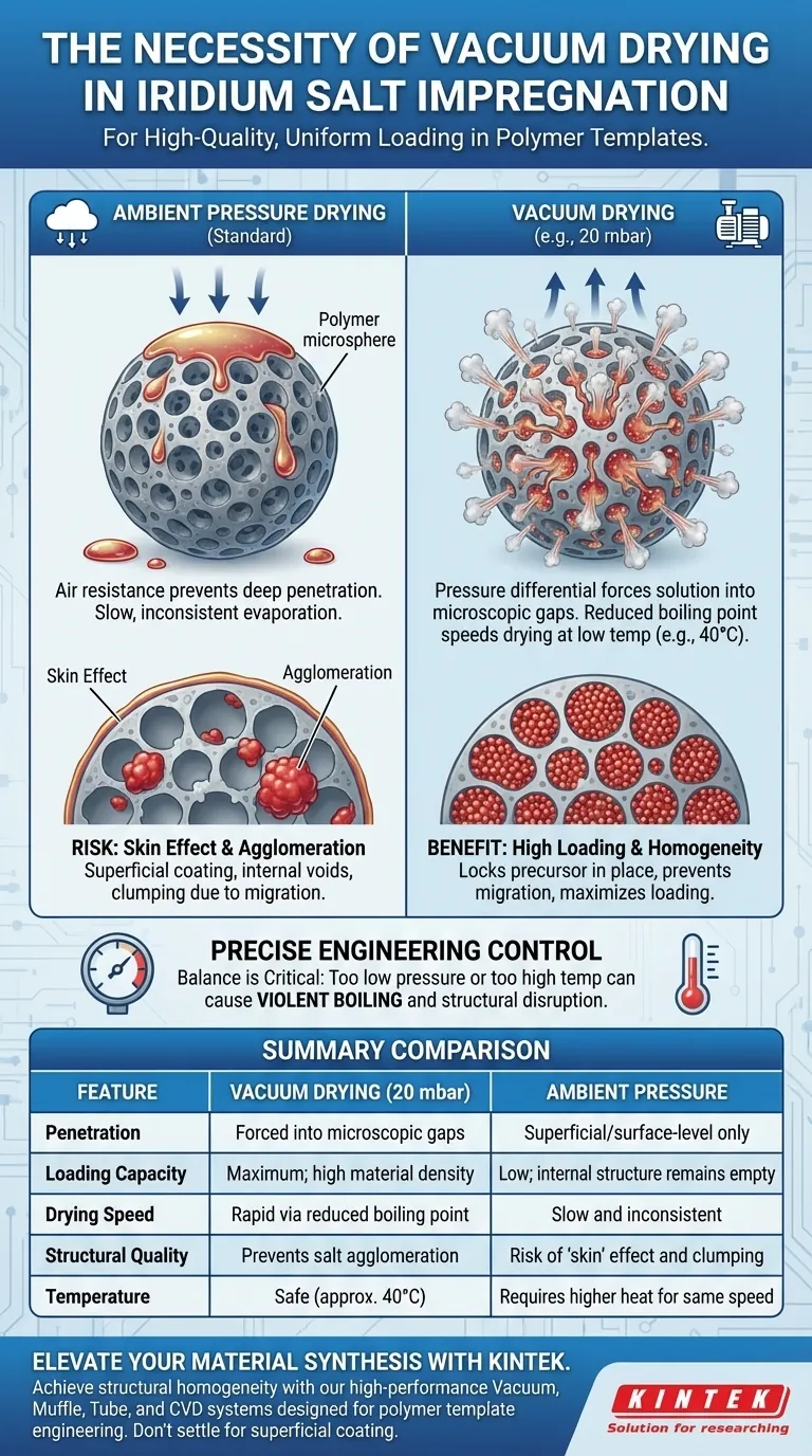¿Por qué es necesario un aparato de secado al vacío para la impregnación de precursores de sal de iridio? Desbloquee una carga de plantilla superior Guía Visual