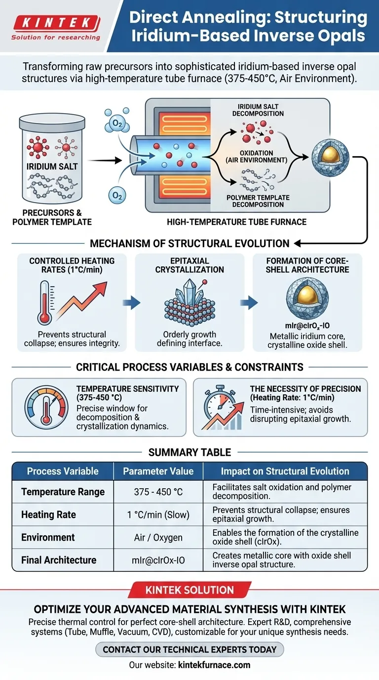 ¿Cómo afecta el proceso de recocido directo en un horno tubular a las ópalos inversas a base de iridio? Perspectivas de expertos Guía Visual