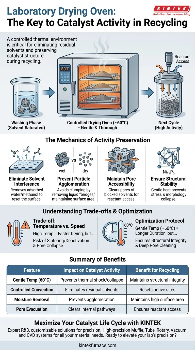 実験室用乾燥オーブンは、材料の活性を維持するためにどのように貢献しますか？触媒性能を簡単に維持 ビジュアルガイド