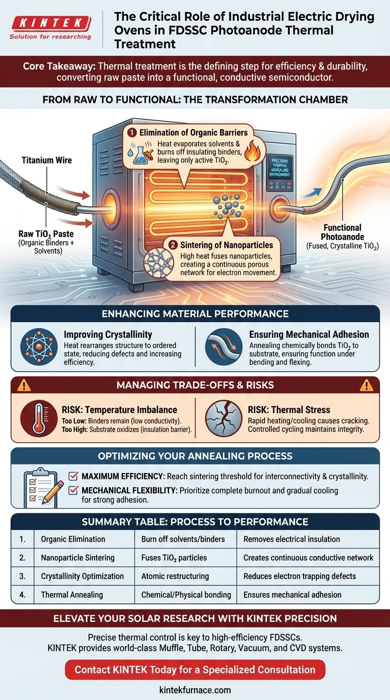 Qual é o papel dos fornos elétricos industriais de secagem no tratamento de fotoanodos de titânio FDSSC? Aumentar a Eficiência Solar Guia Visual