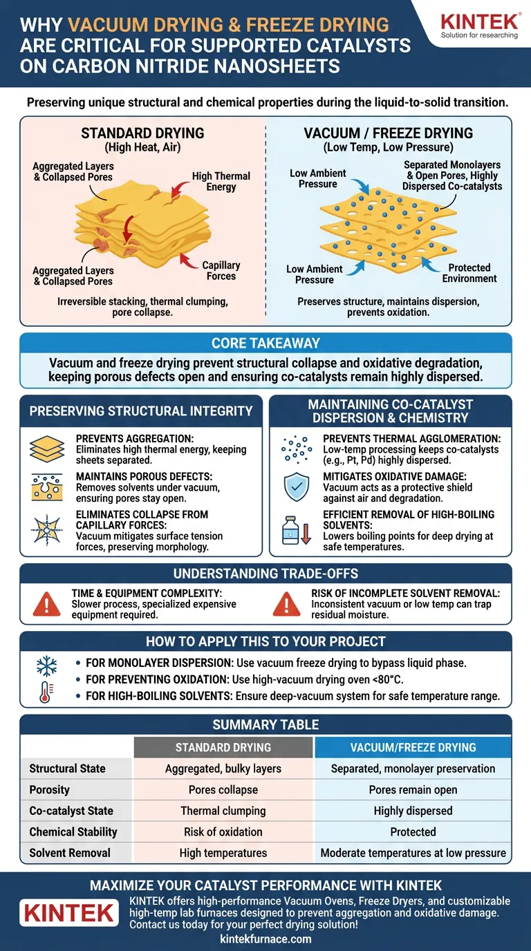 Perché è necessario l'uso di un forno a essiccazione sotto vuoto o di un liofilizzatore sotto vuoto? Preservare l'integrità dei nanosheet di carbonio-nitruro Guida Visiva