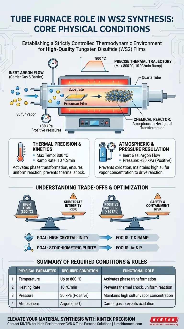 管式炉在WS2的两步合成中提供了哪些核心物理条件？掌握薄膜生长 图解指南