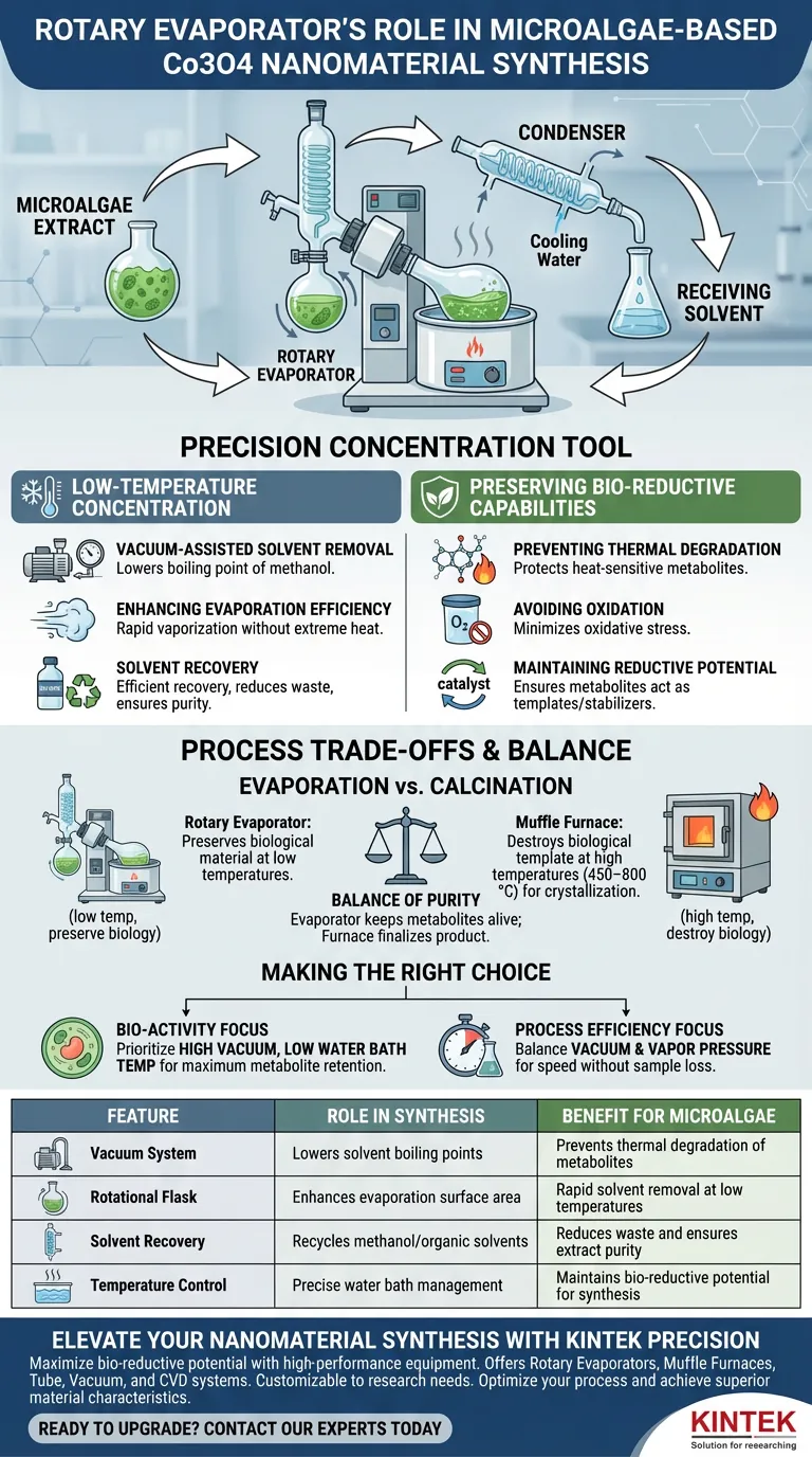 旋转蒸发器在基于微藻的纳米材料中起什么作用？保护生物还原活性以进行合成 图解指南