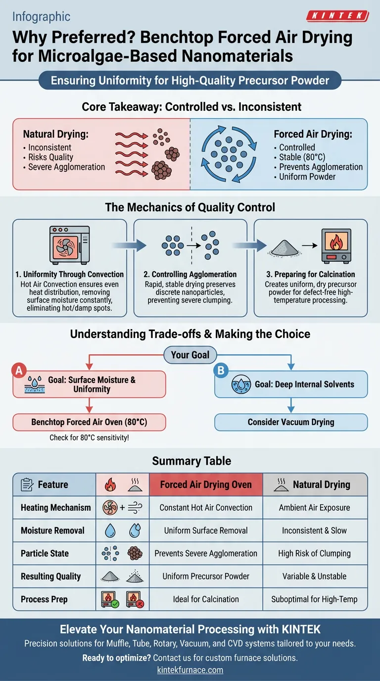 マイクロ藻類由来ナノマテリアルには、なぜ卓上強制熱風乾燥炉が適しているのですか？粉末品質の向上 ビジュアルガイド