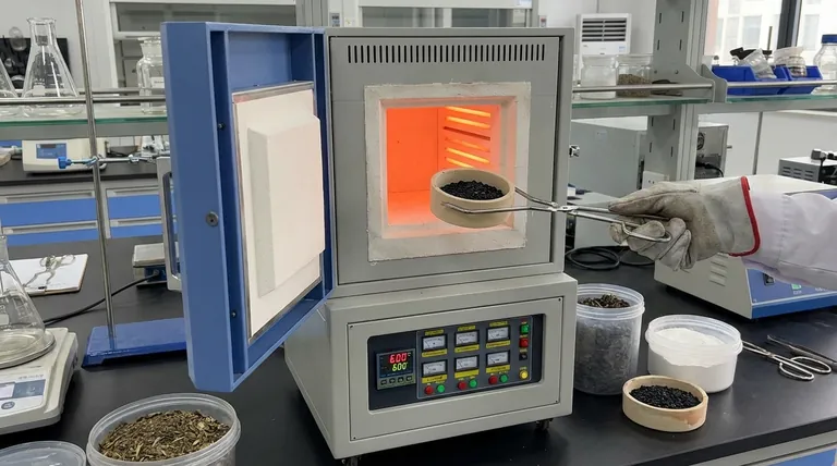 Como um forno mufla contribui para o biochar modificado com caulim? Otimizando a Pirólise e a Integração Mineral